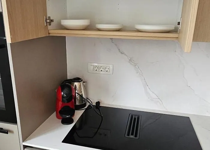 Guest house Muric 3*