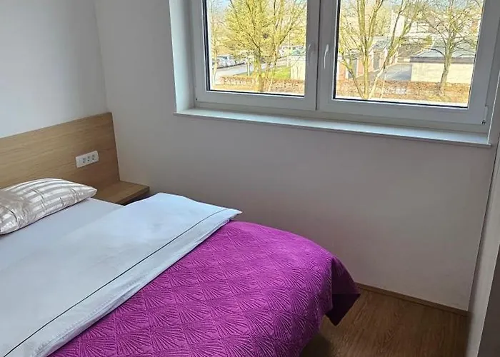 Guest house Muric 3*