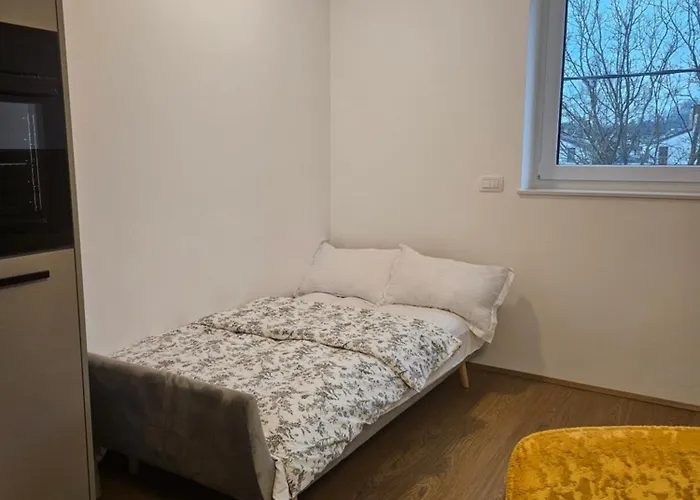 Guest house Muric 3*